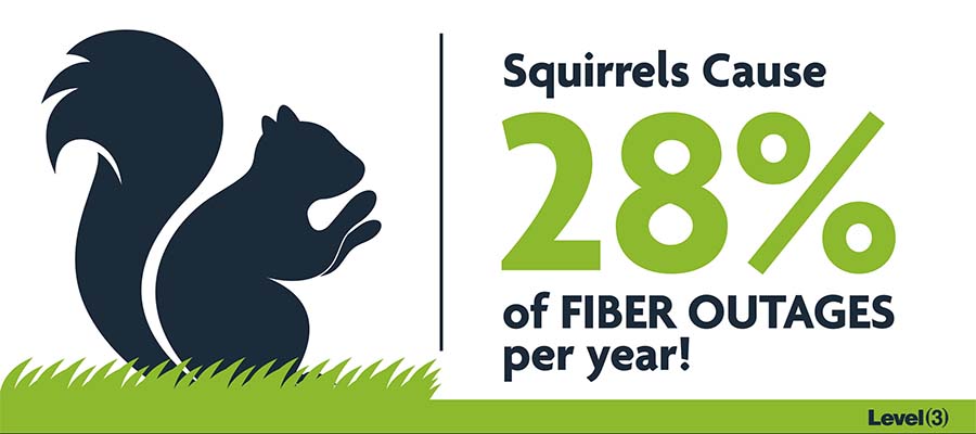 FiberLight PowerPlay: Causes of Fiber Outages - 28% of fiber outages were caused by squirrels